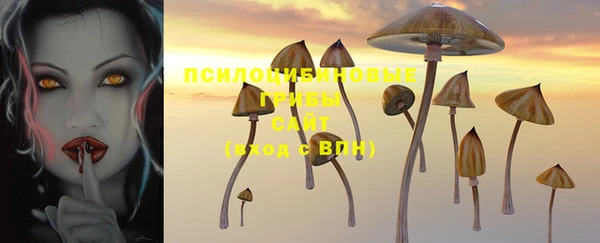 стафф Зерноград