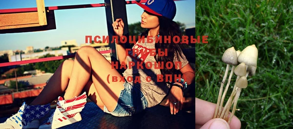 стафф Зерноград
