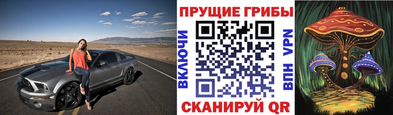 Псилоцибиновые грибы мицелий  Купить закладки  Славск 